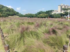 -红花山公园