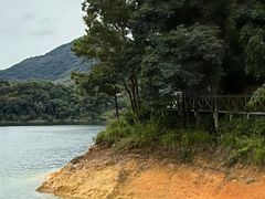 -广州市流溪河国家森林公园