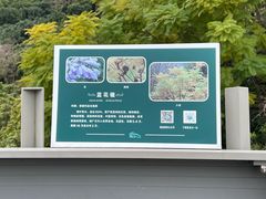 -福道