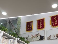-爱侣宠医·鹦鹉专科·小型哺乳类·异宠专科(灵石路店)