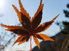 -崂山巨峰游览区