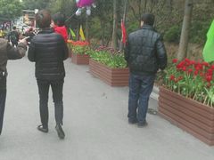-金鸡山公园
