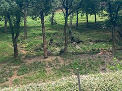 -杭州野生动物世界