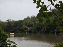 -芳草地度假酒店·野炉中餐厅