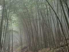 -溪口-滕头旅游景区