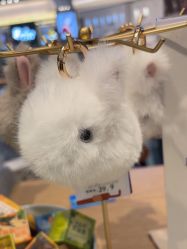 -IMON·HANSA潮玩玩偶毛绒玩具(通州万象汇店)