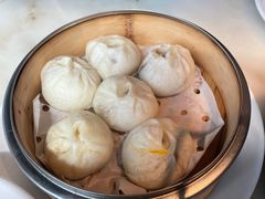 -佬肥猫(国华广场店)