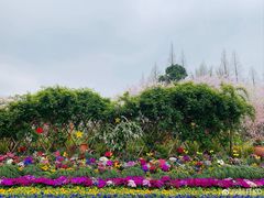 -苏州上方山国家森林公园