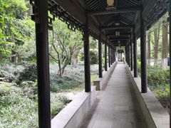 -红梅公园