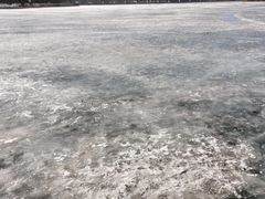 -丁香湖公园