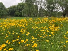 -梁鸿国家湿地公园