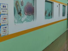 -小岳飞儿童训练馆(华腾店)