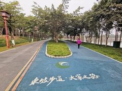 -眉山湿地公园(东坡区)