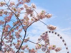 -自然谷恐龙园