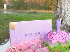 -GANSO元祖食品(锦创书城店)