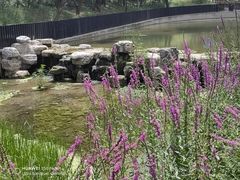 -白水寺森林公园