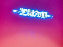 -狐狸和向日葵(北京路店)