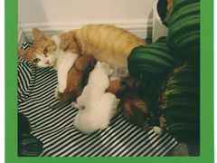 -隹木咖啡馆(宝龙广场店)