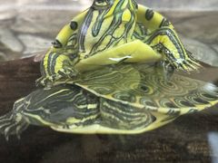 -仲盛世界商城