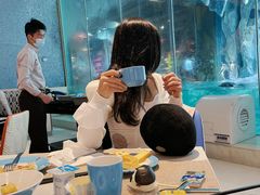 大堂-帝企鹅自助餐厅•儿童岛•真企鹅(长隆企鹅酒店)