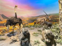 -国家自然博物馆