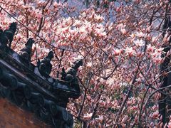 -潭柘寺景区