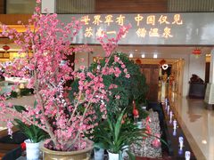 -张家港金凤凰度假村温泉