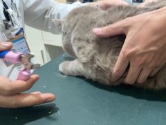 -宠欣安宠物医院·包河区中心医院