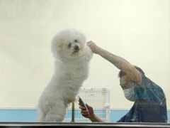 -天宠宠物医院24小时·急重症诊疗中心·全科·腔镜特色(和平分院)