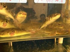 -启东小海鲜(庄先湾路1号店)
