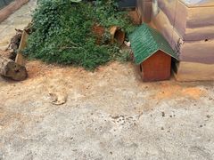 -昆明动物园