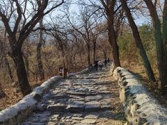 -阳台山自然风景区