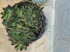 -和记小菜(大宁店)