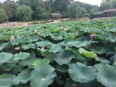 -歌迷量贩KTV(光彩市场店)