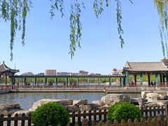 -莲花池公园