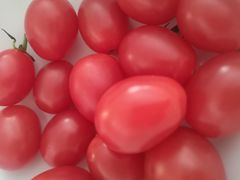 -麦德龙(郑东店)