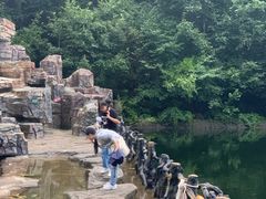 -洛阳白云山景区