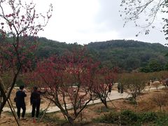 -南国桃园旅游度假区