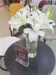 -时尚殿堂hair salon