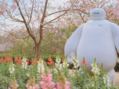 -天适樱花悠乐园