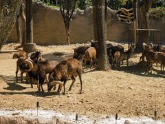 -杭州野生动物世界