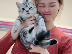 -lincat·猫舍(广州店)