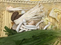 -许小树(国贸商城店)