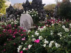 -人民公园(罗湖区)