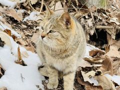 -终南山南五台景区
