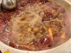 -金鼎雪山牦牛杂火锅(理县总店)