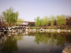 -西安青龙寺遗址景区