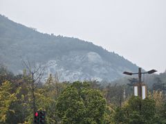 -习家池