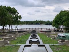 -上海都市菜园