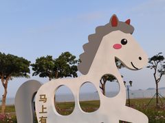 -野狸岛
